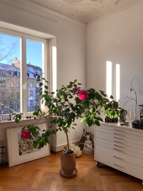 Simple Ways to Reduce Noise at Home for a Calmer Space